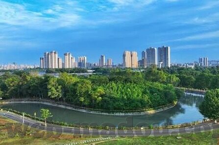 久久91麻豆精品一区-数字化时代下的网络内容审视与信息素养