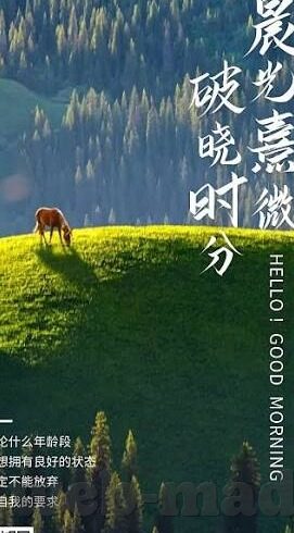 老汉av麻豆-品味生活，老汉av麻豆并非我们应驻足深思的部分