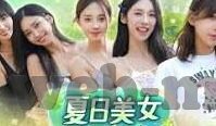 麻豆app破解版下载-探秘麻豆——不再迷路于信息的海洋