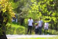 名优写真一区二区在线-探索网络文化的多元视角，名优写真一区二区的在线现象