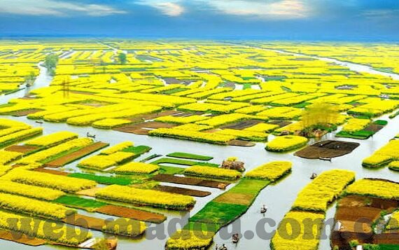 日本一区二区三区免费视频-日本一区二区三区视频的多元视角与文化探讨