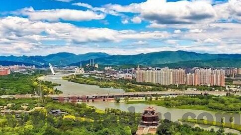 糖心app封面-糖心app封面，设计背后的艺术与市场考量