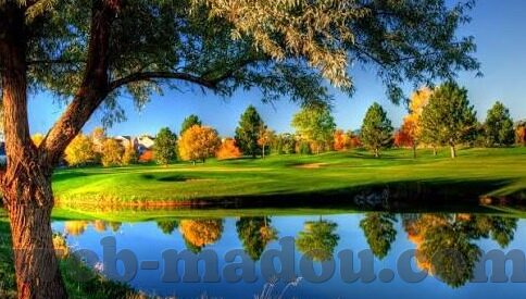 糖心vlog官网入口免费-探秘糖心Vlog，烘焙娱乐与学习的新域