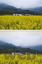 糖心vlog vip-- 定制化的V.I.P体验 -