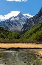 星空无限传媒 麻豆-麻豆，在星空无限的浪漫中绽放