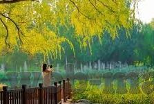 夜色av麻豆-夜色中的静谧与光影交错——探索麻豆的独特韵味